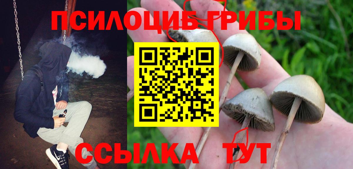 Галлюциногенные грибы ЛСД Ялуторовск